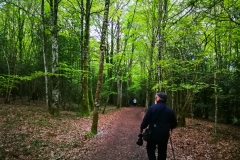 Caminando
