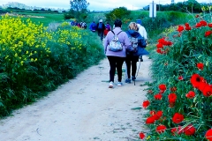 etapa-3-camino-4