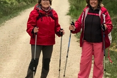 etapa-5-camino-002