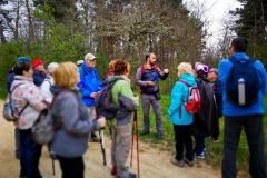 etapa-5-camino-005