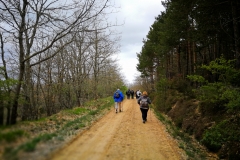 etapa-5-camino-008
