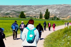etapa-6-Camino-001