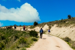 etapa-6-camino-006